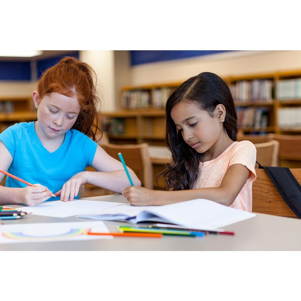 Crayola Colored Pencils 24 ct. (Pack of 2)